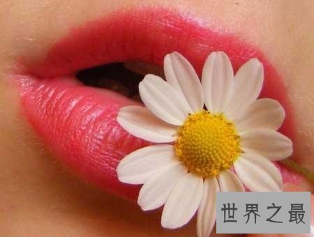 【图】嘴唇花长的像嘴唇的花，竟然有这些妙用