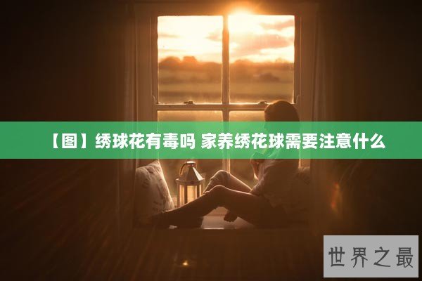 【图】绣球花有毒吗 家养绣花球需要注意什么