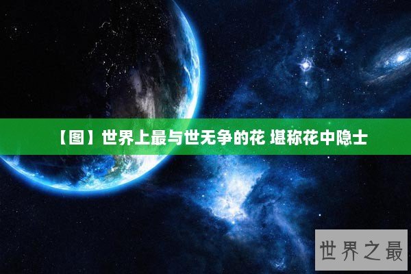 【图】世界上最与世无争的花 堪称花中隐士