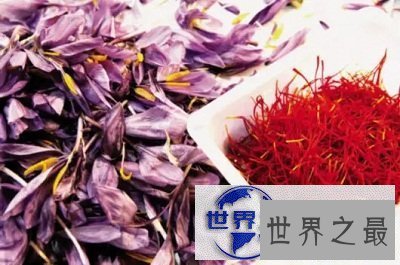 【图】藏红花的功效与作用你知道吗?小花朵大功效！