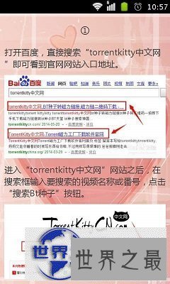 【图】电影要会员才能看怎么办？找kitty torrent没错的