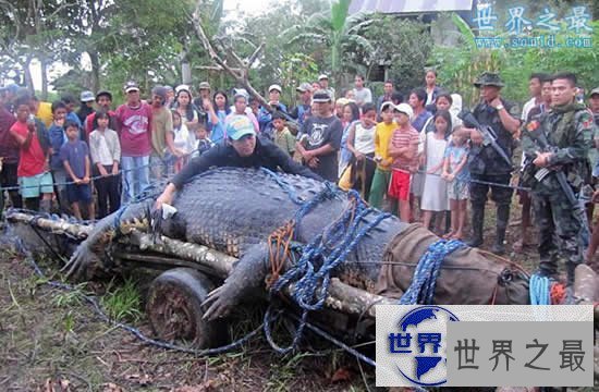 【图】世界上最大的鲸鱼，蓝鲸(舌头上能站50人)