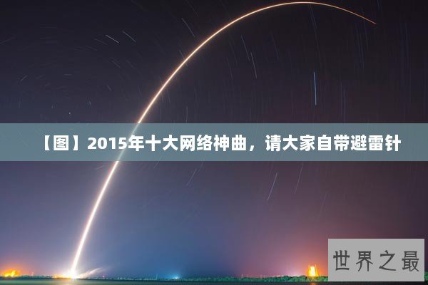 【图】2015年十大网络神曲，请大家自带避雷针