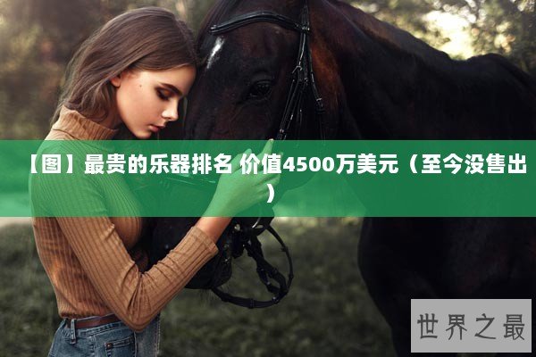 【图】最贵的乐器排名 价值4500万美元（至今没售出）