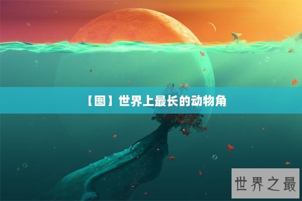 【图】世界上最长的动物角