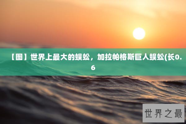 【图】世界上最大的蜈蚣，加拉帕格斯巨人蜈蚣(长0.6