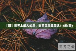 【图】世界上最大的鸟，史前巨鸟翼展达7.3米(图)