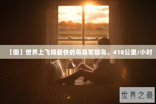 【图】世界上飞得最快的鸟是军舰鸟，418公里/小时