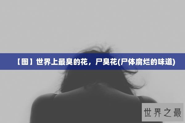 【图】世界上最臭的花，尸臭花(尸体腐烂的味道)