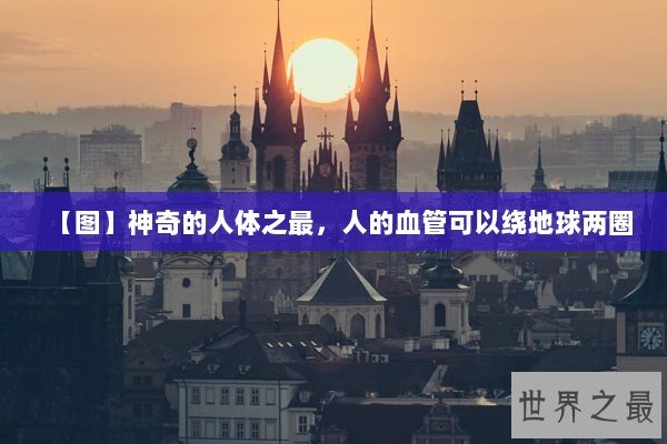 【图】神奇的人体之最，人的血管可以绕地球两圈