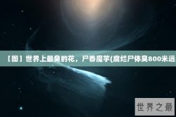 【图】世界上最臭的花，尸香魔芋(腐烂尸体臭800米远