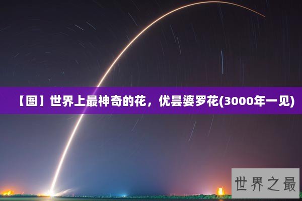 【图】世界上最神奇的花，优昙婆罗花(3000年一见)