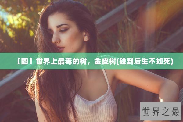 【图】世界上最毒的树，金皮树(碰到后生不如死)