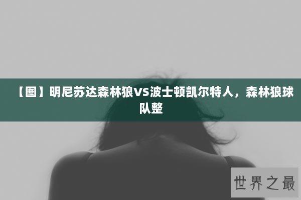 【图】明尼苏达森林狼VS波士顿凯尔特人，森林狼球队整