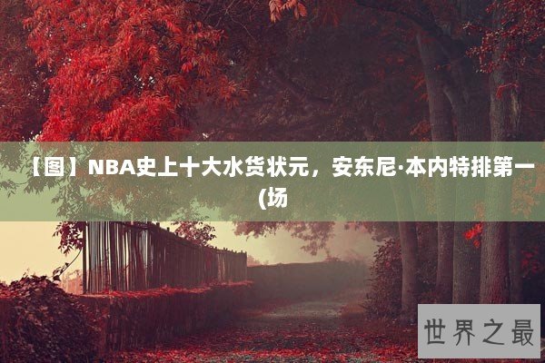 【图】NBA史上十大水货状元，安东尼·本内特排第一(场