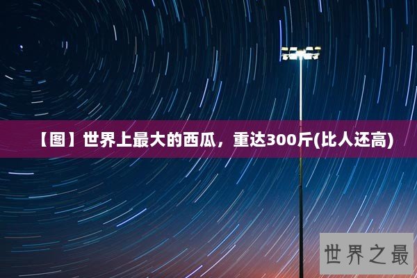 【图】世界上最大的西瓜，重达300斤(比人还高)