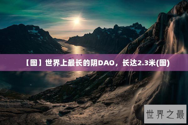 【图】世界上最长的阴DAO，长达2.3米(图)