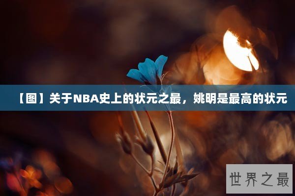 【图】关于NBA史上的状元之最，姚明是最高的状元