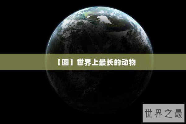 【图】世界上最长的动物